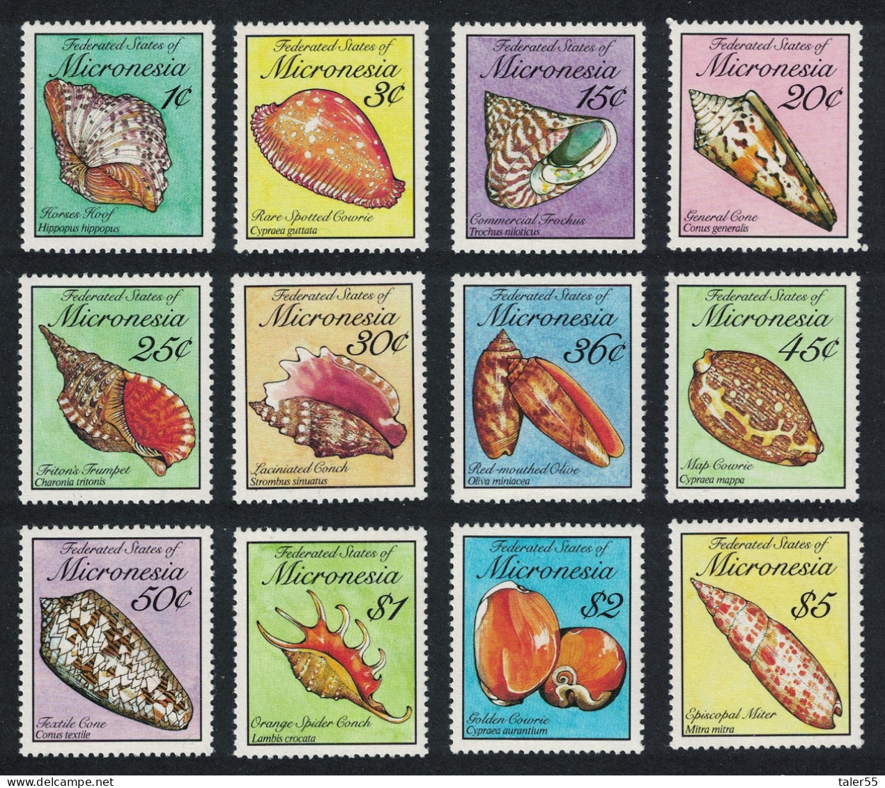Micronesia Sea Shells 12v Face Value US$11.50 1989 MNH SG#136-147 MI#142-153 Sc#83-102 - Mikronesien