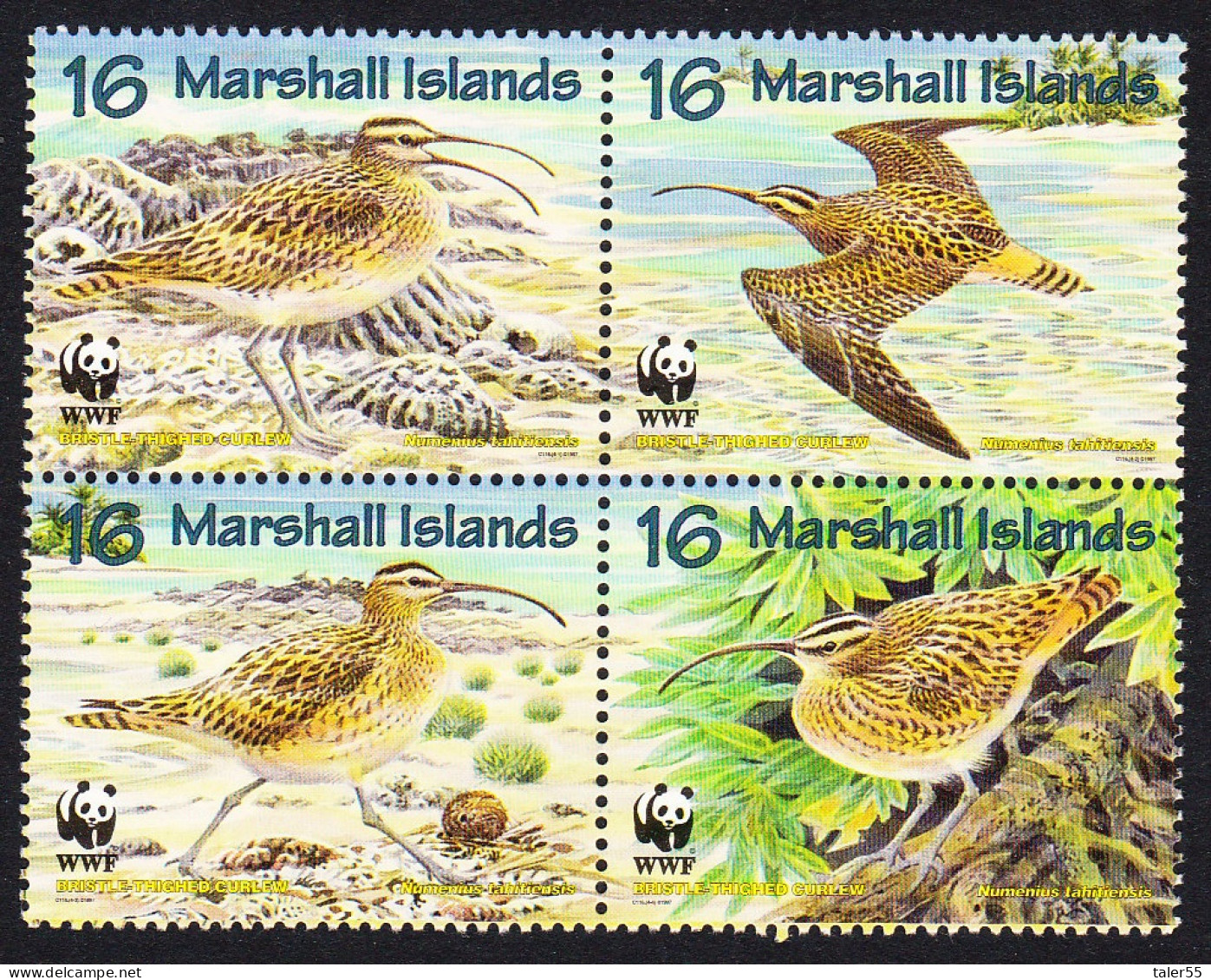 Marshall Is. Birds WWF Bristle-thighed Curlew 4v Block Of 4 1997 MNH SG#826-829 MI#830-833 Sc#638 A-d - Marshall