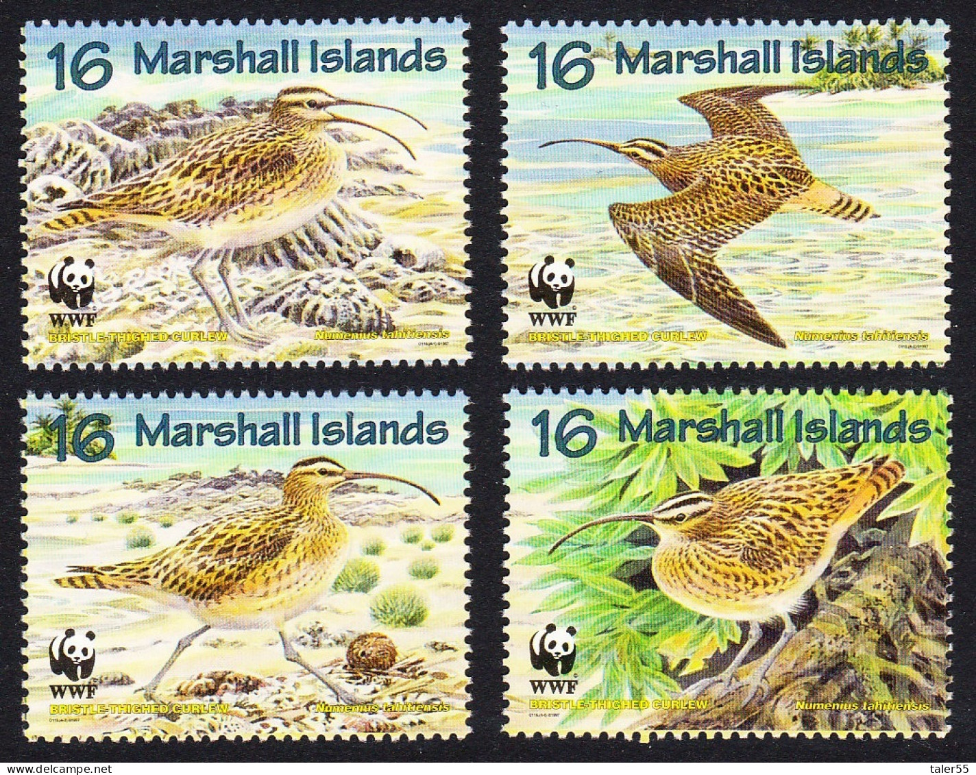 Marshall Is. WWF Birds Bristle-thighed Curlew 4v 1997 MNH SG#826-829 MI#830-833 Sc#638 A-d - Marshallinseln