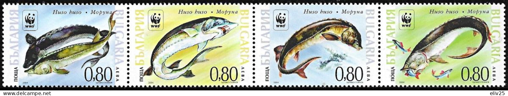 Bulgaria 2004, WWF Fish Hausen - Strip Of 4 V. MNH - Nuevos