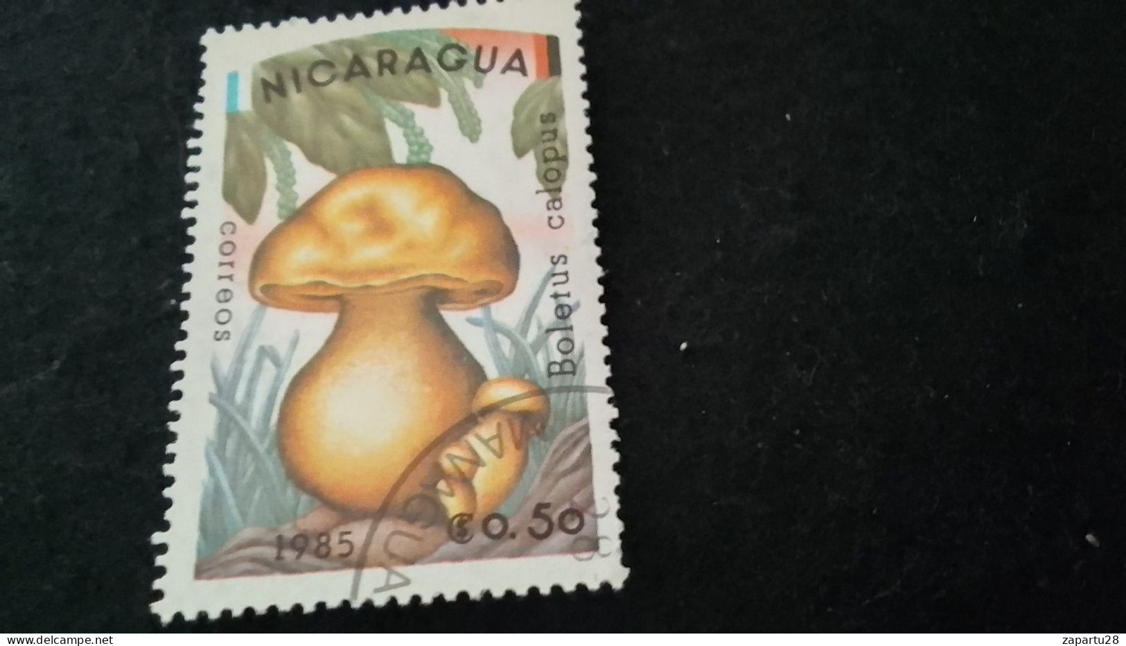 NİARAGUA-1980-90     0.50   CORD  DAMGALI - Nicaragua