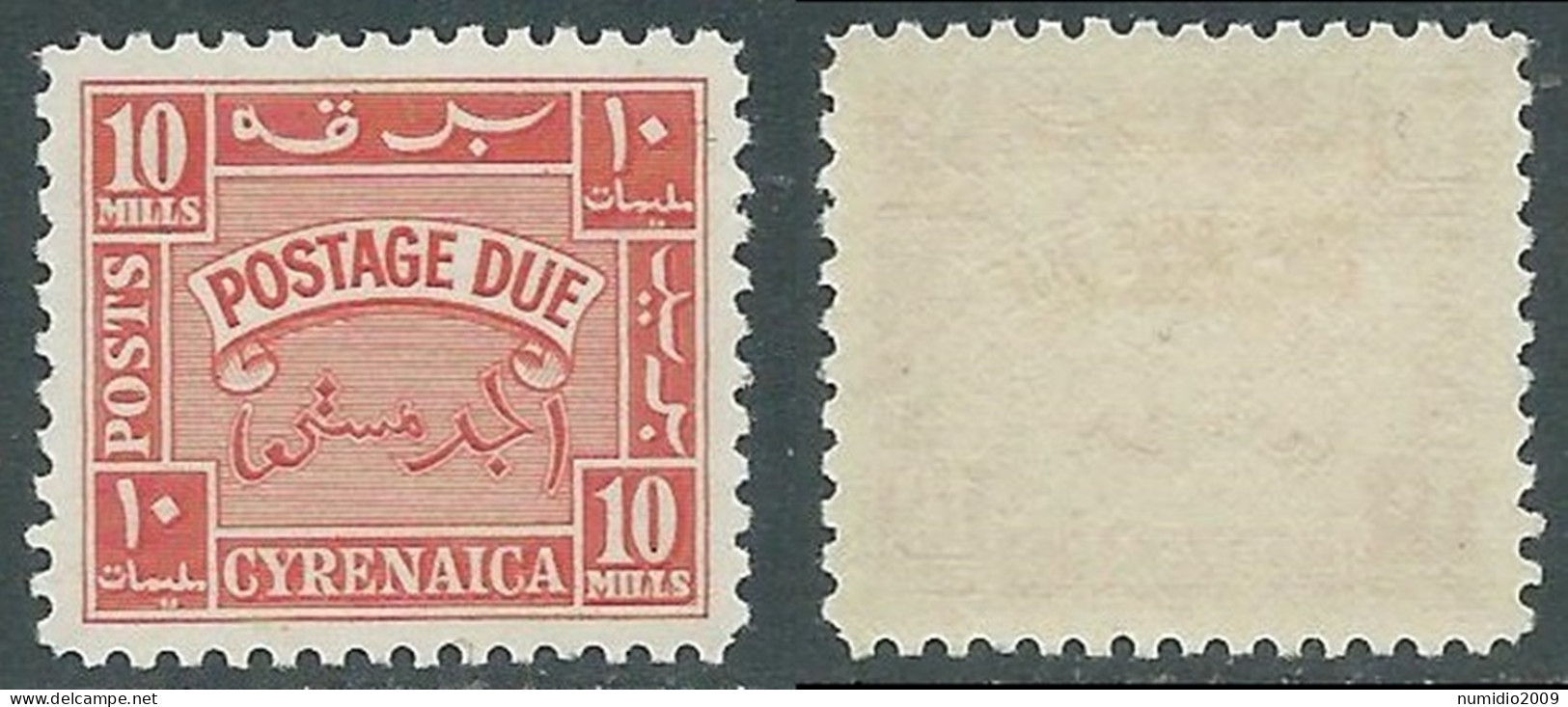 1950 CIRENAICA AMMINISTRAZIONE AUTONOMA SEGNATASSE 10 M MNH ** - RA22-8 - Cirenaica