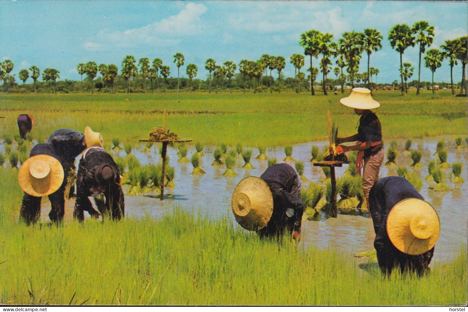 Thailand - Rice Plants - Working People - Nice Stamp - Tailandia