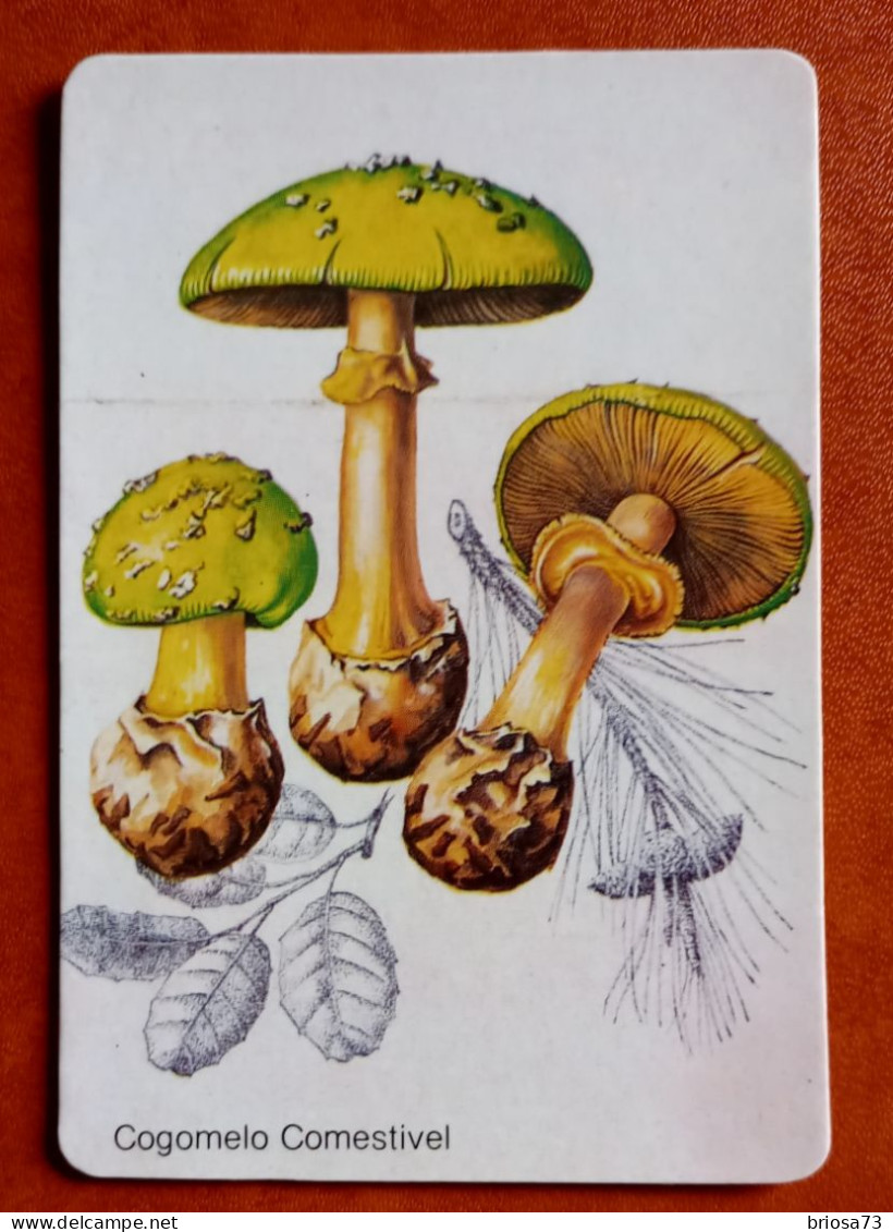 Calendrier De Poche Champignon. - Formato Piccolo : 1981-90