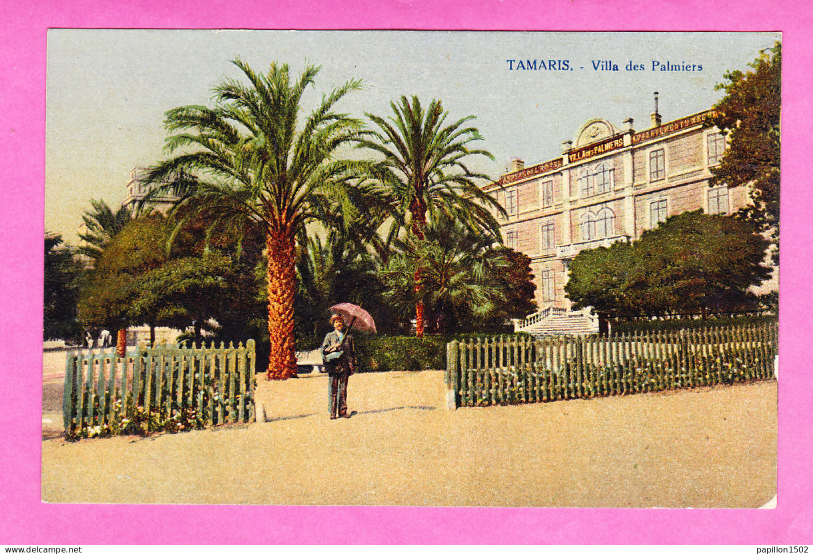 F-83-Tamaris-04A20  Villa Des Palmiers, Cpa Colorisée BE - Tamaris