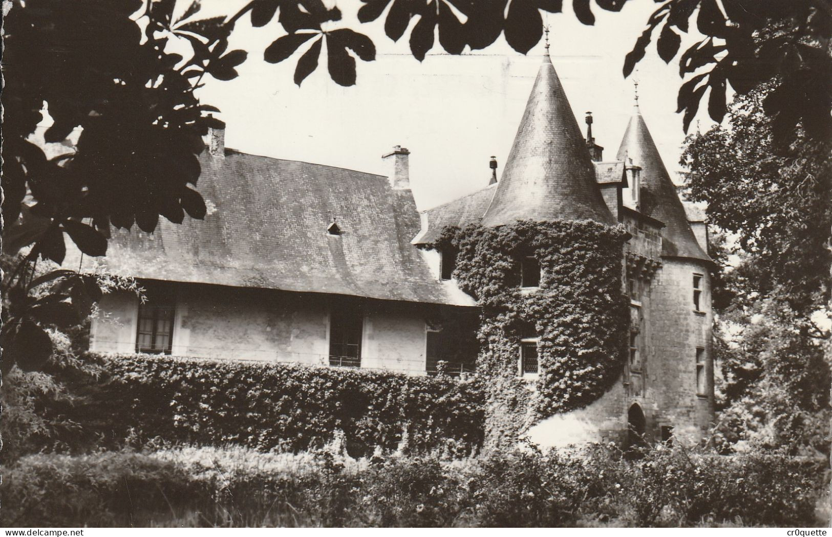 # 86370 VIVONNE / CHÂTEAU De CERCIGNY En 1955 - Vivonne