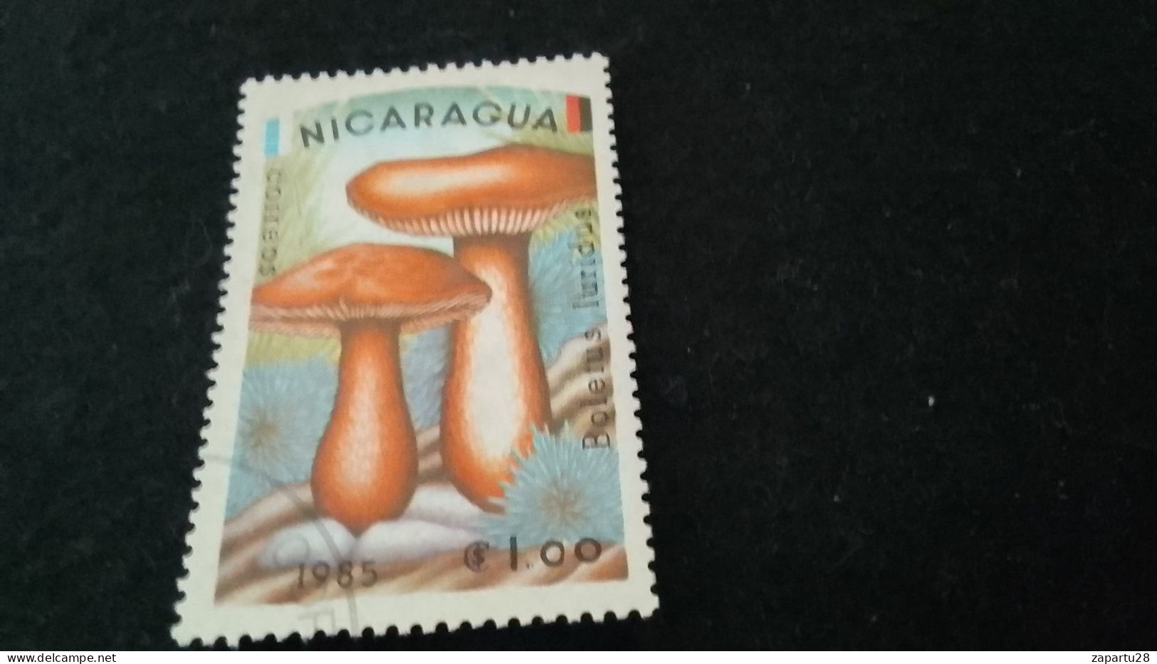 NİARAGUA-1970-80     1   CORD  DAMGALI - Nicaragua