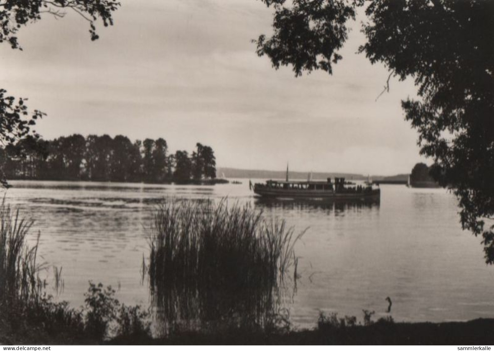 56058 - Bad Saarow-Pieskow - MS Scharmützelsee Vor Dem Kleinen Werl - 1974 - Bad Saarow