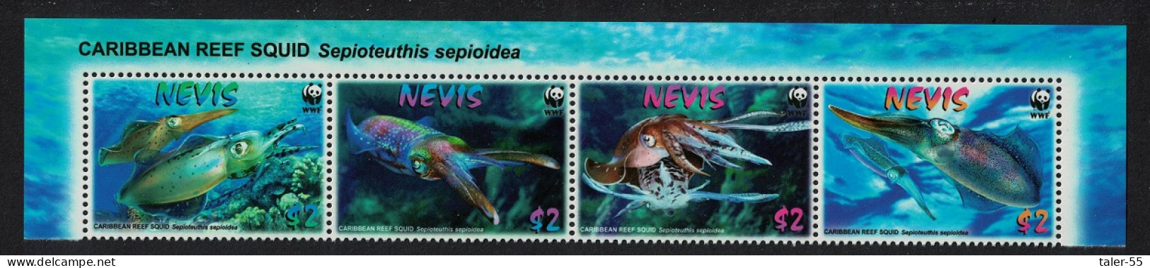 Nevis WWF Caribbean Reef Squid Strip Of 4v Latin Name 2009 MNH SG#2155-2158 MI#2380-2383 Sc#2380-2383 - St.Kitts And Nevis ( 1983-...)