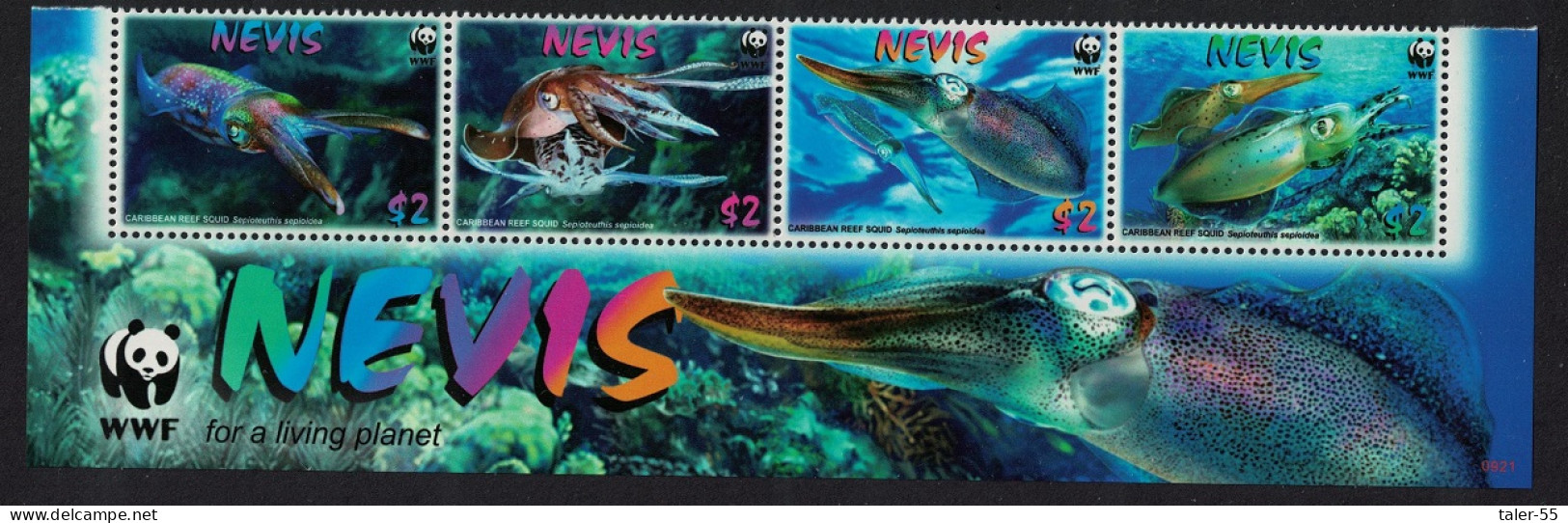 Nevis WWF Caribbean Reef Squid Strip WWF Logo 2009 MNH SG#2155-2158 MI#2380-2383 Sc#2380-2383 - St.Kitts And Nevis ( 1983-...)