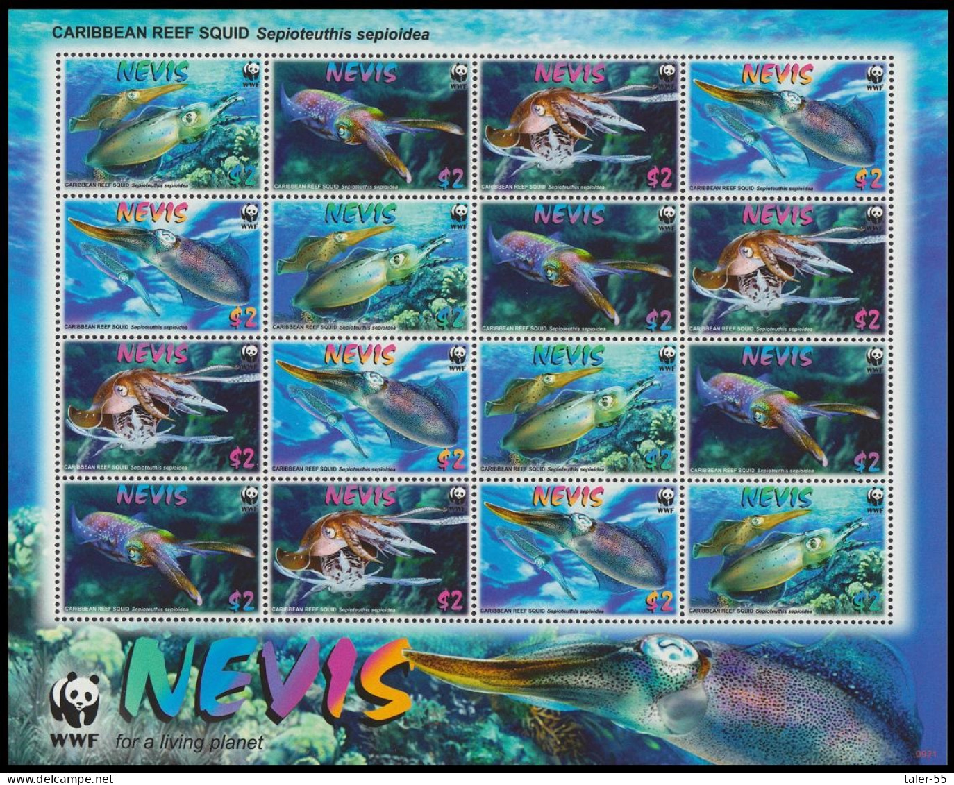 Nevis WWF Caribbean Reef Squid Sheetlet Of 4 Sets 2009 MNH SG#2155-2158 MI#2380-2383 Sc#2380-2383 - St.Kitts And Nevis ( 1983-...)