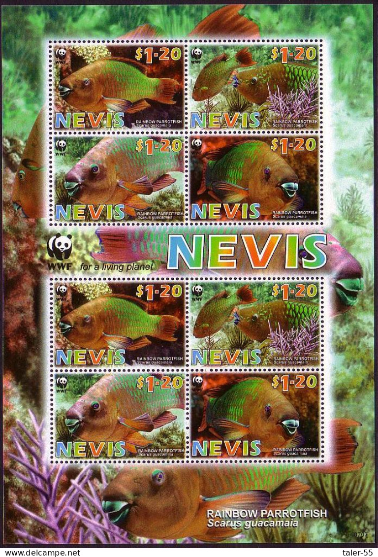 Nevis WWF Rainbow Parrotfish MS 2007 MNH SG#MS2019 MI#2208-2211 Sc#1510a-d - St.Kitts And Nevis ( 1983-...)