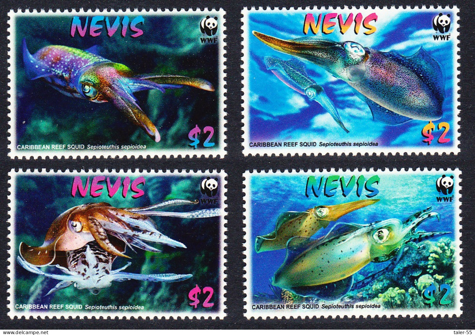 Nevis WWF Caribbean Reef Squid 4v 2009 MNH SG#2155-2158 MI#2380-2383 Sc#2380-2383 - St.Kitts-et-Nevis ( 1983-...)