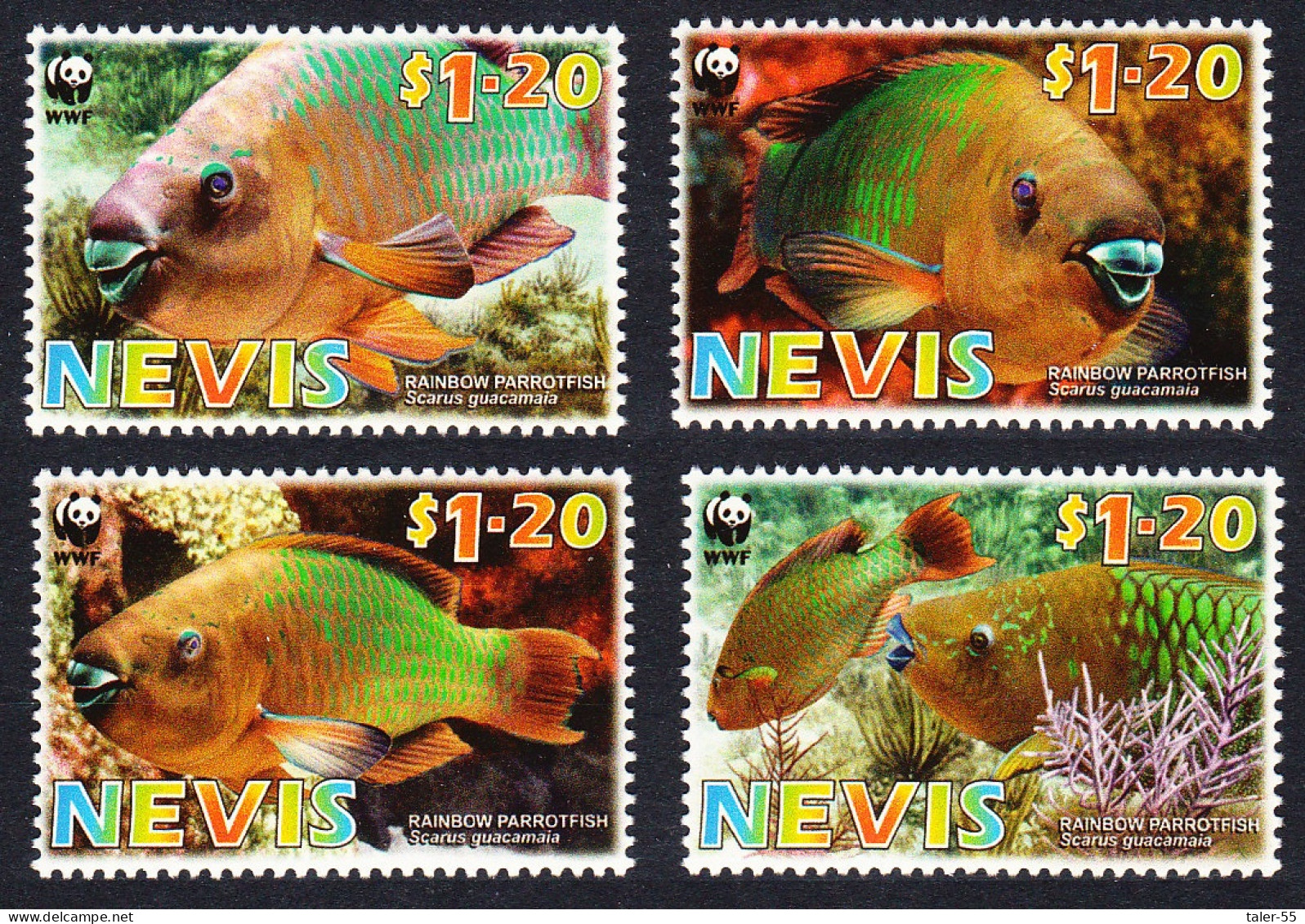 Nevis WWF Rainbow Parrotfish 4v 2007 MNH SG#2015-2018 MI#2208-2211 Sc#1510a-d - St.Kitts And Nevis ( 1983-...)