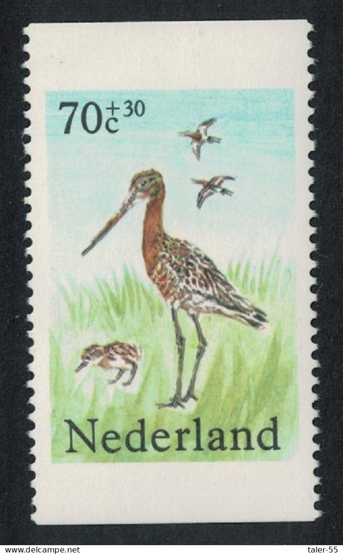 Netherlands Black-tailed Godwits Pasture Birds Vert Perf 1984 MNH SG#1438 MI#1249 - Neufs