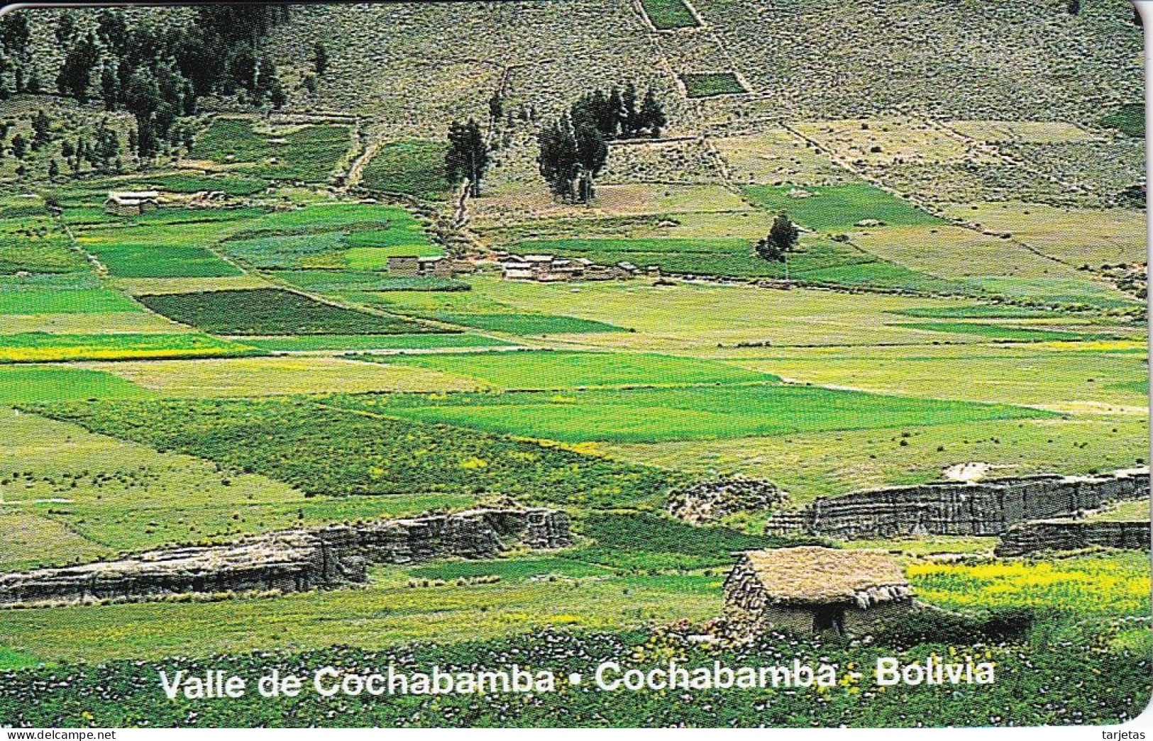 TARJETA DE BOLIVIA DE ENTEL DEL VALLE DE COCHABAMBA (NUEVA-MINT) - Bolivien