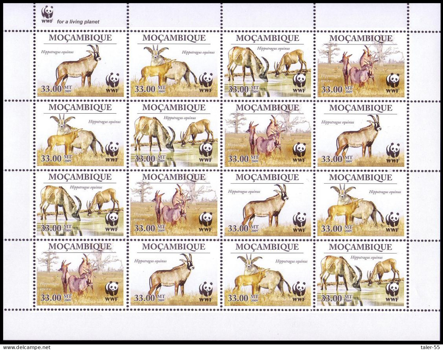 Mozambique WWF Roan Antelope Sheetlet Of 4 Sets 2010 MNH MI#3658-3661 Sc#1930 - Mosambik