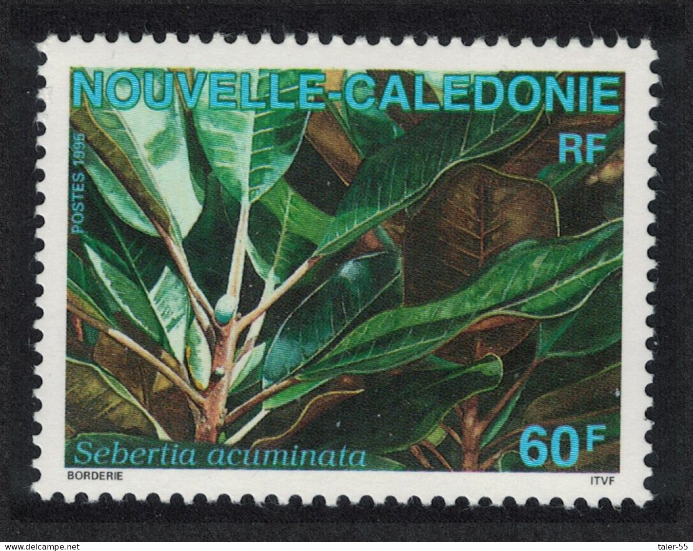New Caledonia Rainforest Shrub 'Sebertia Acuminata' Nickel 1995 MNH SG#1040 - Nuevos