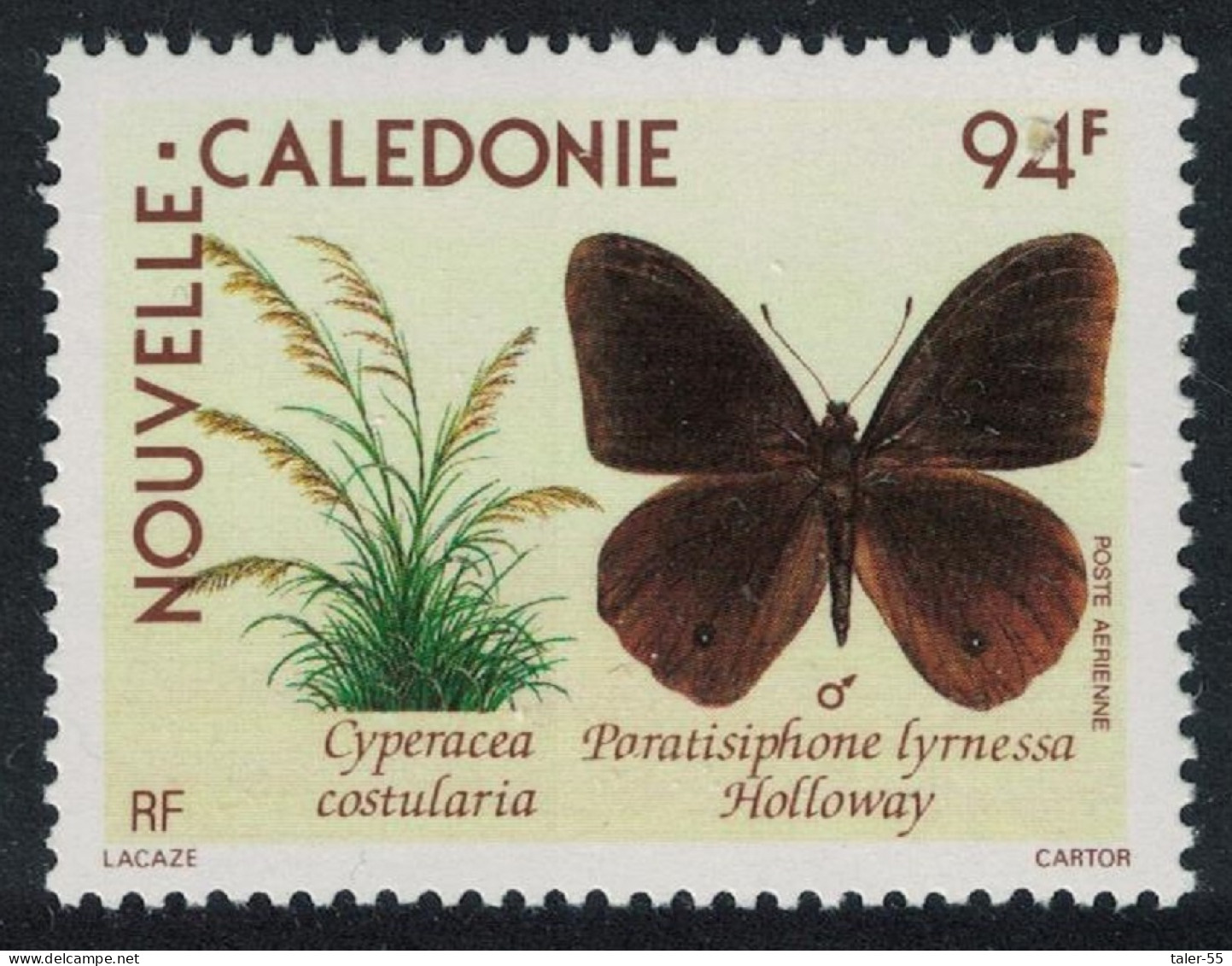New Caledonia 'Paratisiphone Lyrnessa' Male Butterfly 1990 MNH SG#876 - Unused Stamps