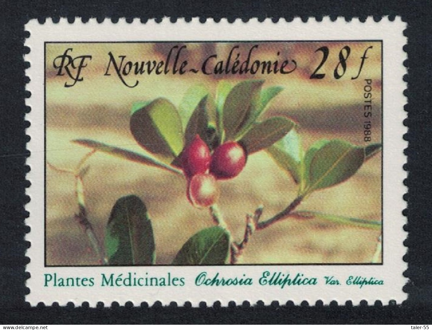 New Caledonia 'Ochrosia Elliptica' Medicinal Plants 28f 1988 MNH SG#830 - Ungebraucht