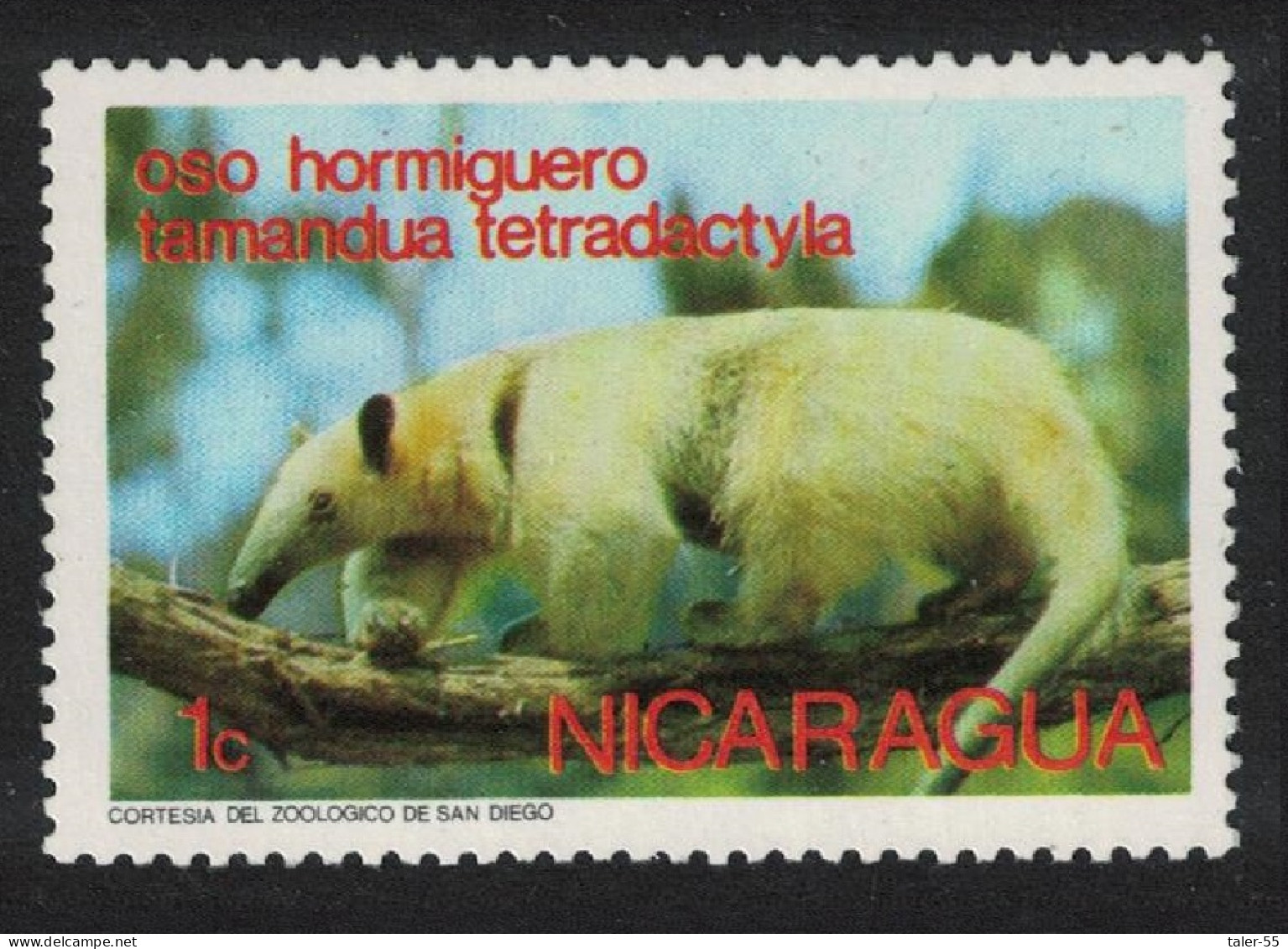 Nicaragua Tamandua Wild Anima Fauna 1974 MNH SG#1947 - Nicaragua