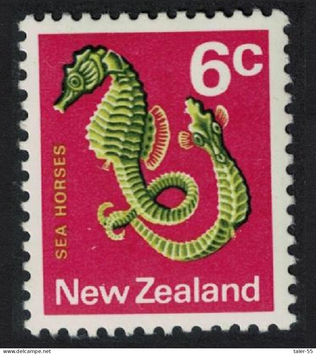 New Zealand Big-bellied Seahorses Fish 6c 1970 MNH SG#921 - Neufs