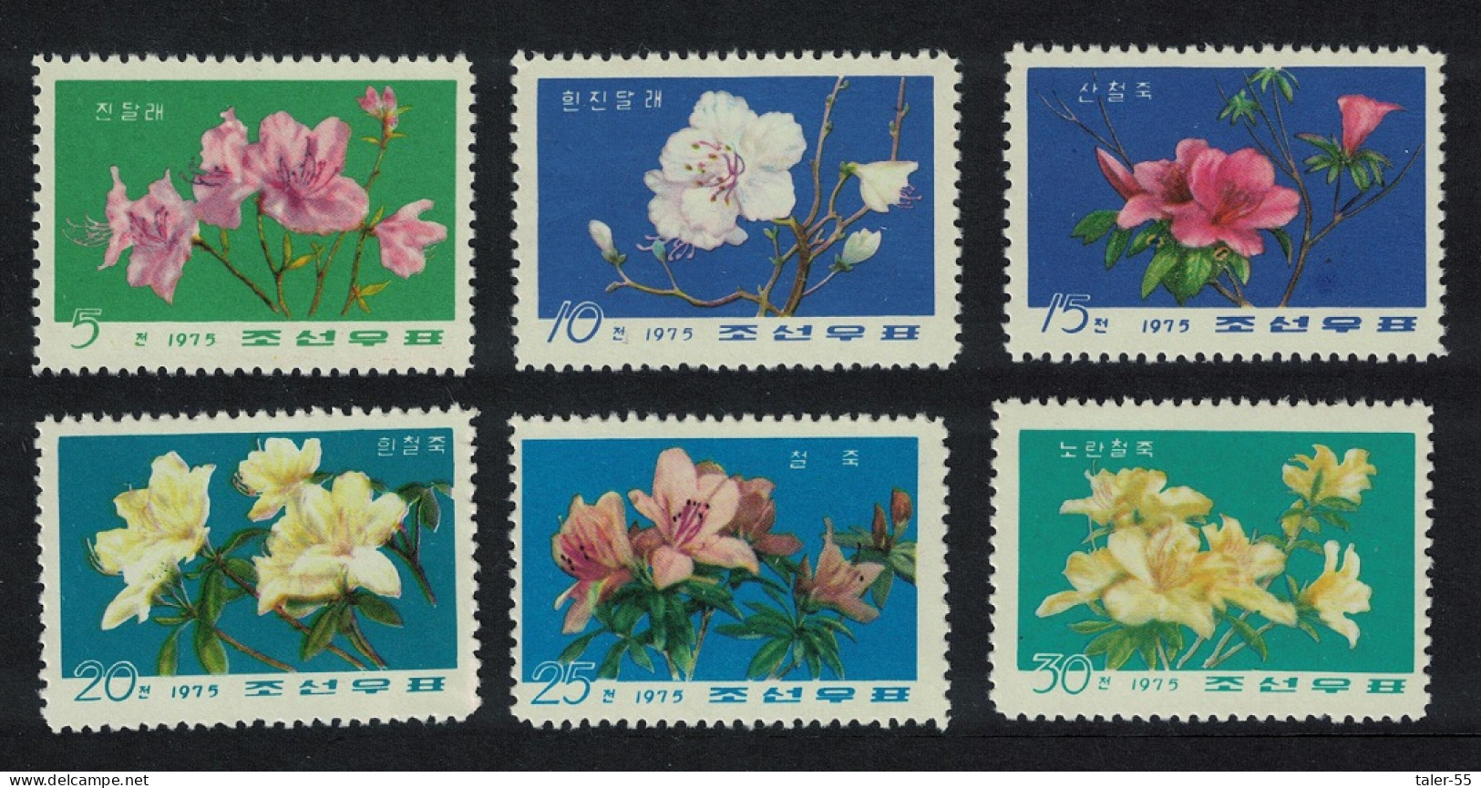 Korea Flowers Of The Azalea Family 6v 1975 MNH SG#N1434-N1439 - Korea (Nord-)