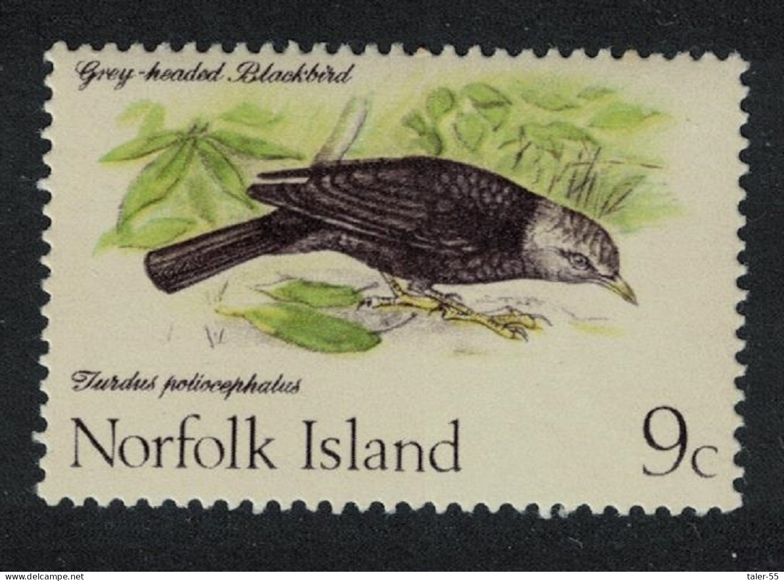 Norfolk Island Thrush Bird 9c 1970 MNH SG#109 - Isla Norfolk