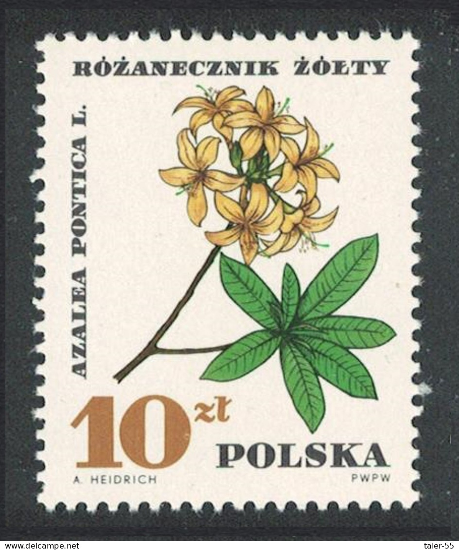 Poland Protected Plants 10 ZL Key Value 1967 MNH SG#1755 Sc#1516 - Unused Stamps