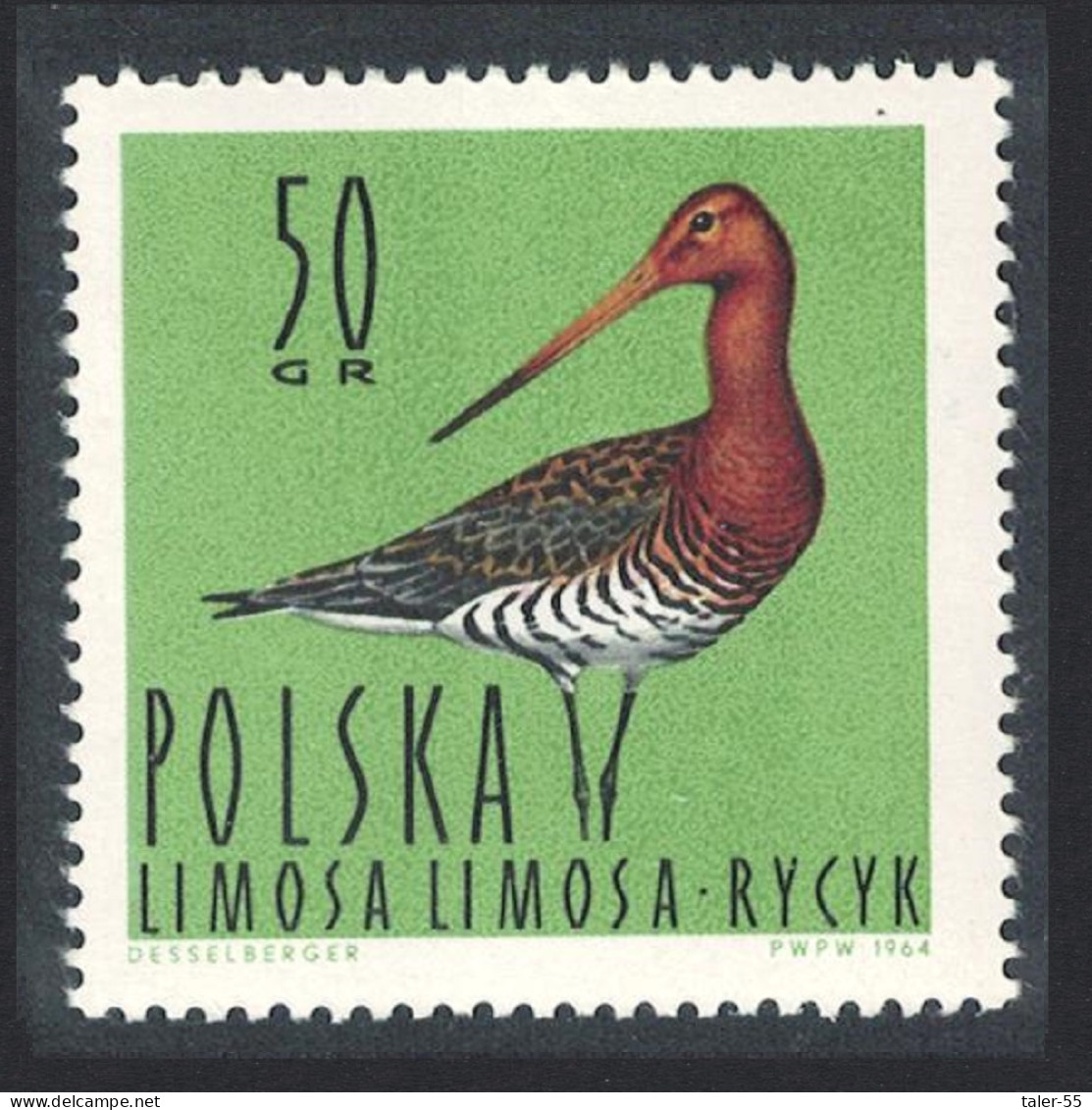 Poland Black-tailed Godwit Bird 50 Gr 1964 MNH SG#1486 Sc#1233 - Unused Stamps