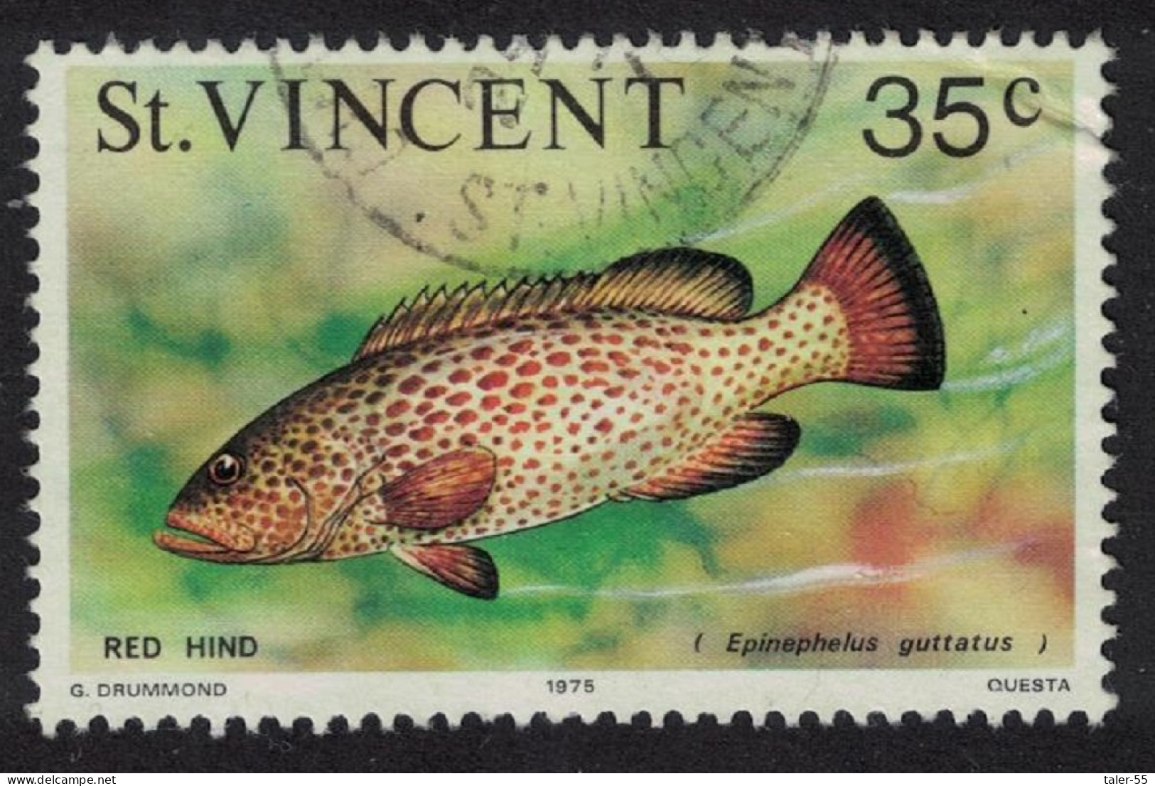 St. Vincent Red Hind Fish Imprint '1975' Canc SG#435 - St.Vincent (...-1979)