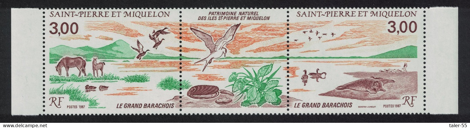 St. Pierre And Miquelon Horses Ducks Gulls Geese Birds 2v Strip 1987 MNH SG#596-597 - Ungebraucht