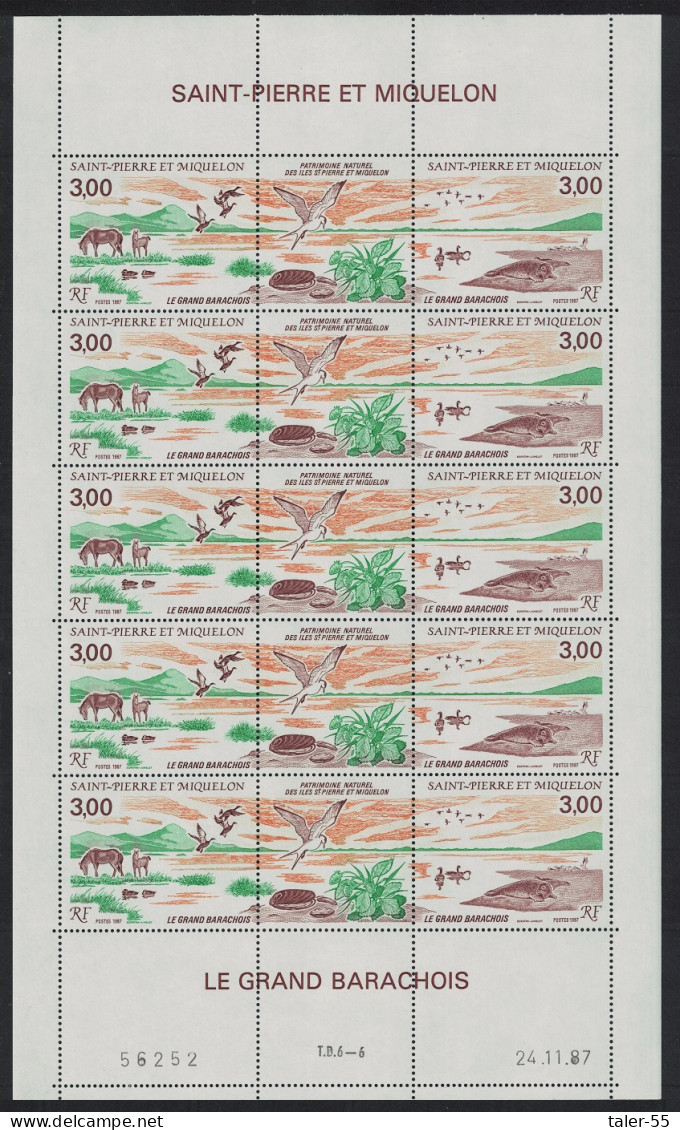 St. Pierre And Miquelon Horses Ducks Gulls Geese Birds 2v Full Sheet 1987 MNH SG#596-597 - Unused Stamps