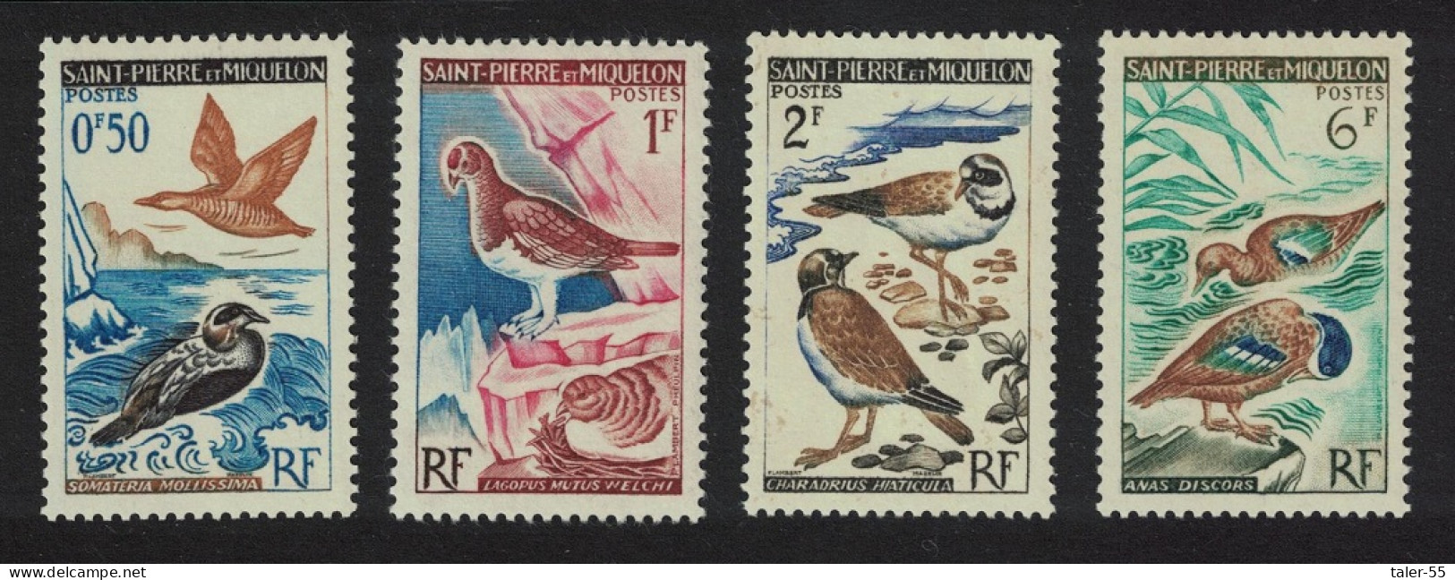 St. Pierre And Miquelon Eiders Plovers Ptarmigan Birds 4v 1963 MNH SG#422-425 - Neufs