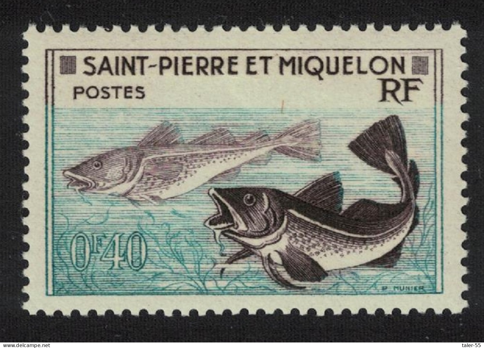 St. Pierre And Miquelon Codfish Fish 0.40Fr 1955 MNH SG#400 - Unused Stamps