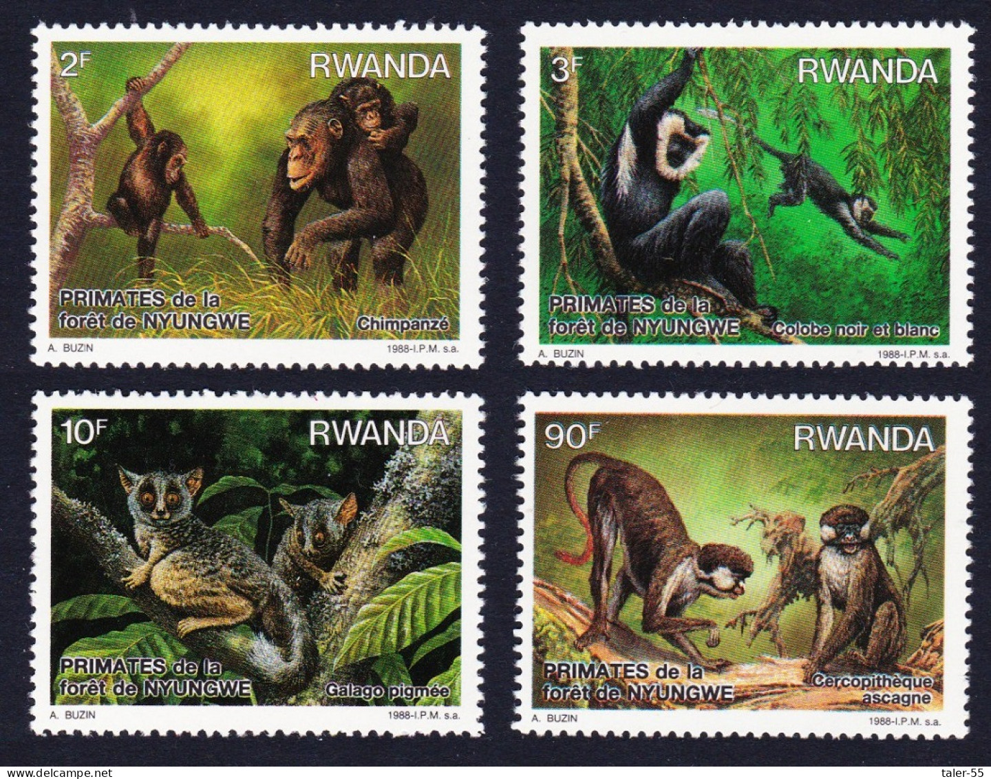 Rwanda Primates Of Nyungwe Forest 4v 1988 MNH SG#1316-1319 MI#1389-1392 Sc#1306-1309 - Nuovi