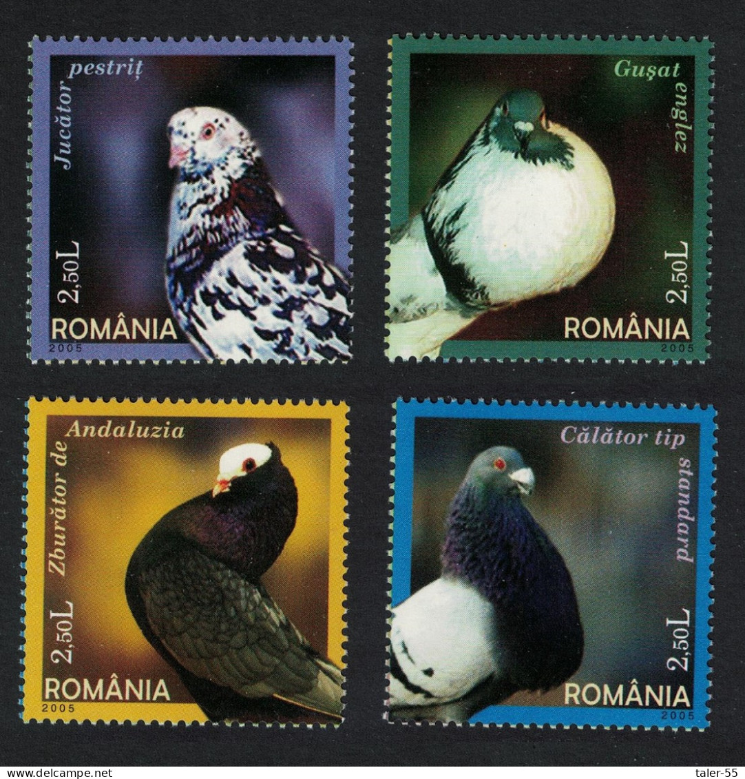 Romania Domestic Pigeons 4v 2005 MNH SG#6586-6589 - Unused Stamps