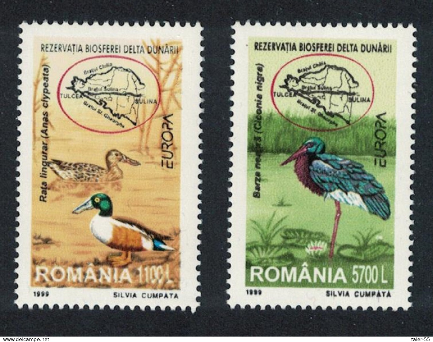 Romania Shoveler Stork Birds Danube Delta 2v 1999 MNH SG#6044-6045 - Neufs