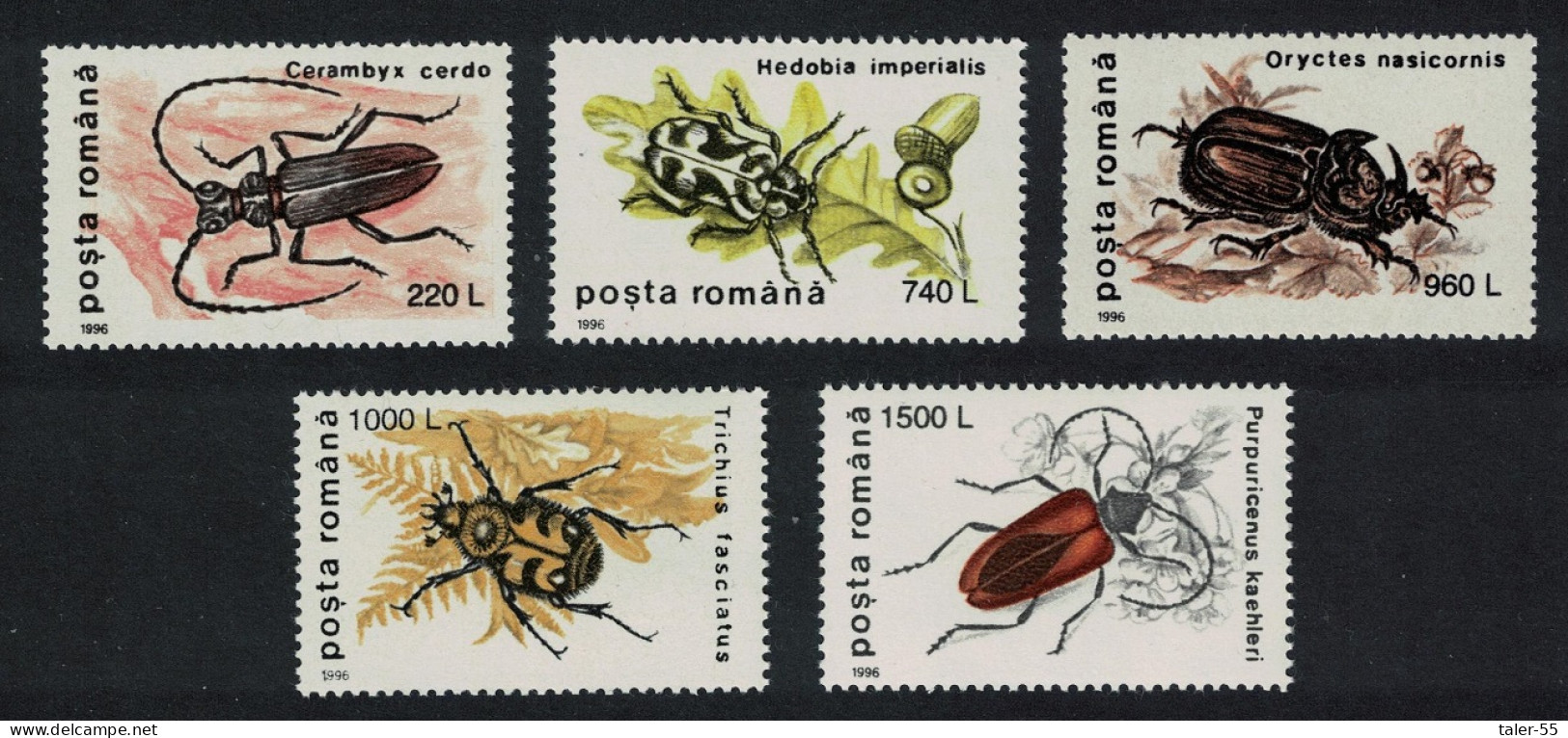 Romania Beetles Insects 5v 1st Series 1996 MNH SG#5800=5807 MI#5165-5169 - Nuovi