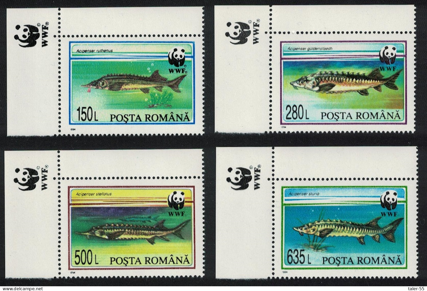 Romania WWF Sturgeons 4v Corners WWF Emblem 1994 MNH SG#5660-5663 MI#5034-5037 Sc#3954-3957 - Ongebruikt