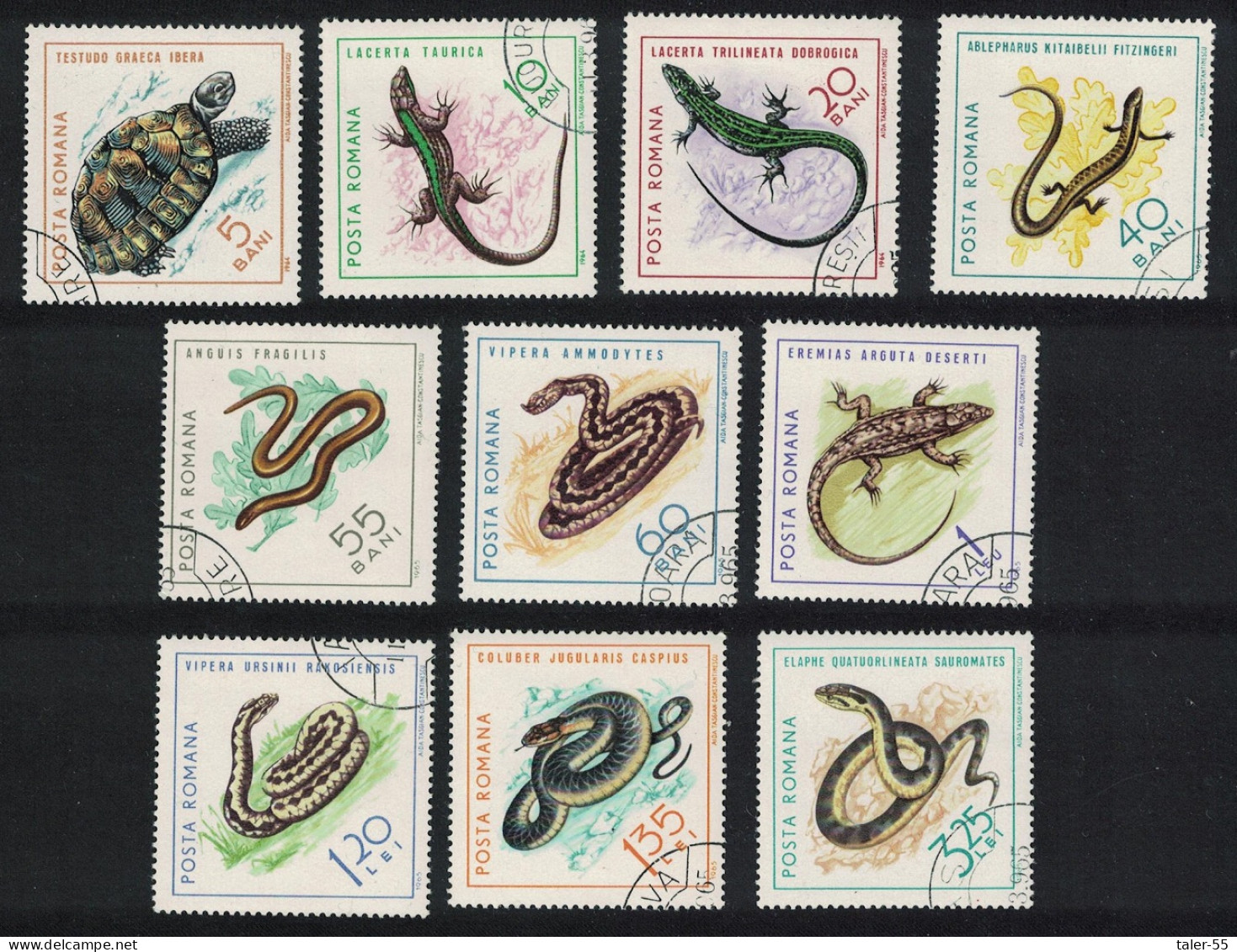 Romania Turtle Snakes Lizard Reptiles 10v 1965 Canc SG#3245-3254 MI#2377-2386 - Gebruikt