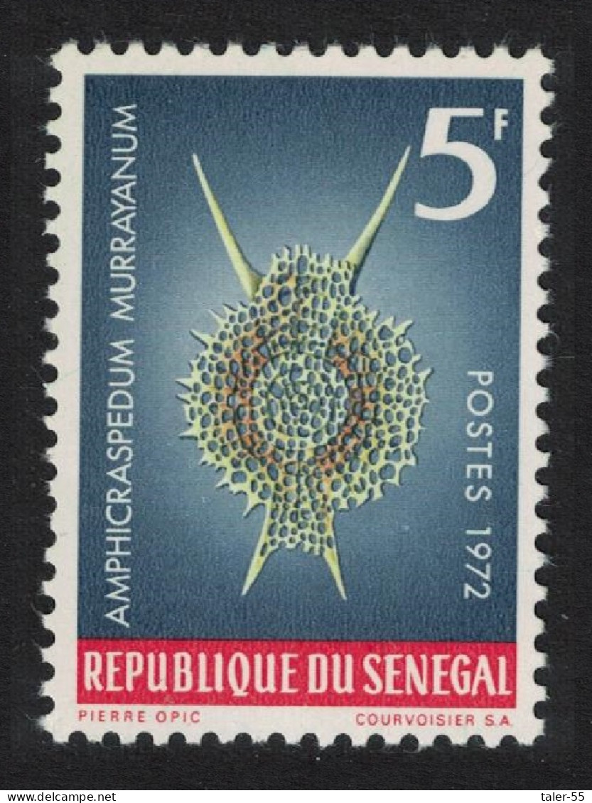 Senegal 'Amphicraspedum Murrayanum' Protozoans Marine Life 1972 MNH SG#507 MI#505 - Senegal (1960-...)