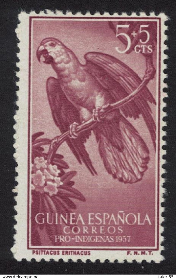 Spanish Guinea Grey Parrot Birds 3v 1957 MNH SG#418 MI#330 - Spanish Guinea