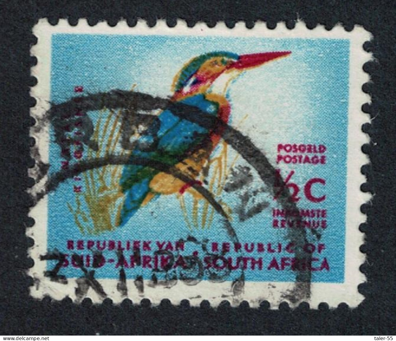 South Africa Kingfisher Bird T2 1961 Canc SG#198 - Otros & Sin Clasificación