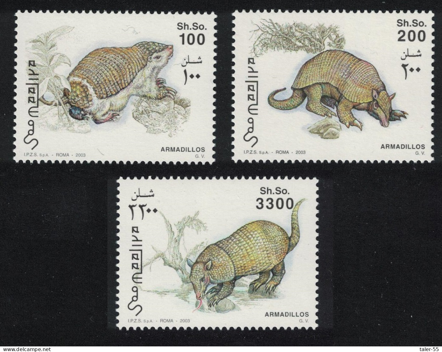 Somalia Armadillo 3v 2003 MNH - Somalie (1960-...)