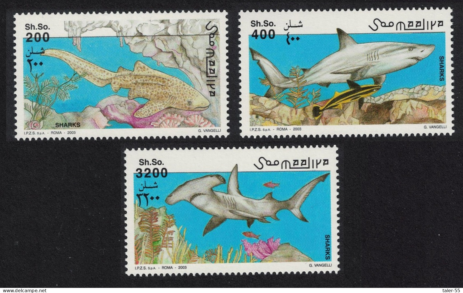 Somalia Sharks 3v 2003 MNH - Somalia (1960-...)