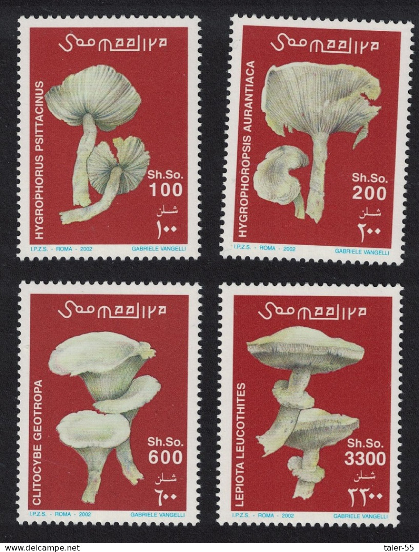 Somalia Mushrooms 4v 2002 MNH MI#962-965 - Somalie (1960-...)