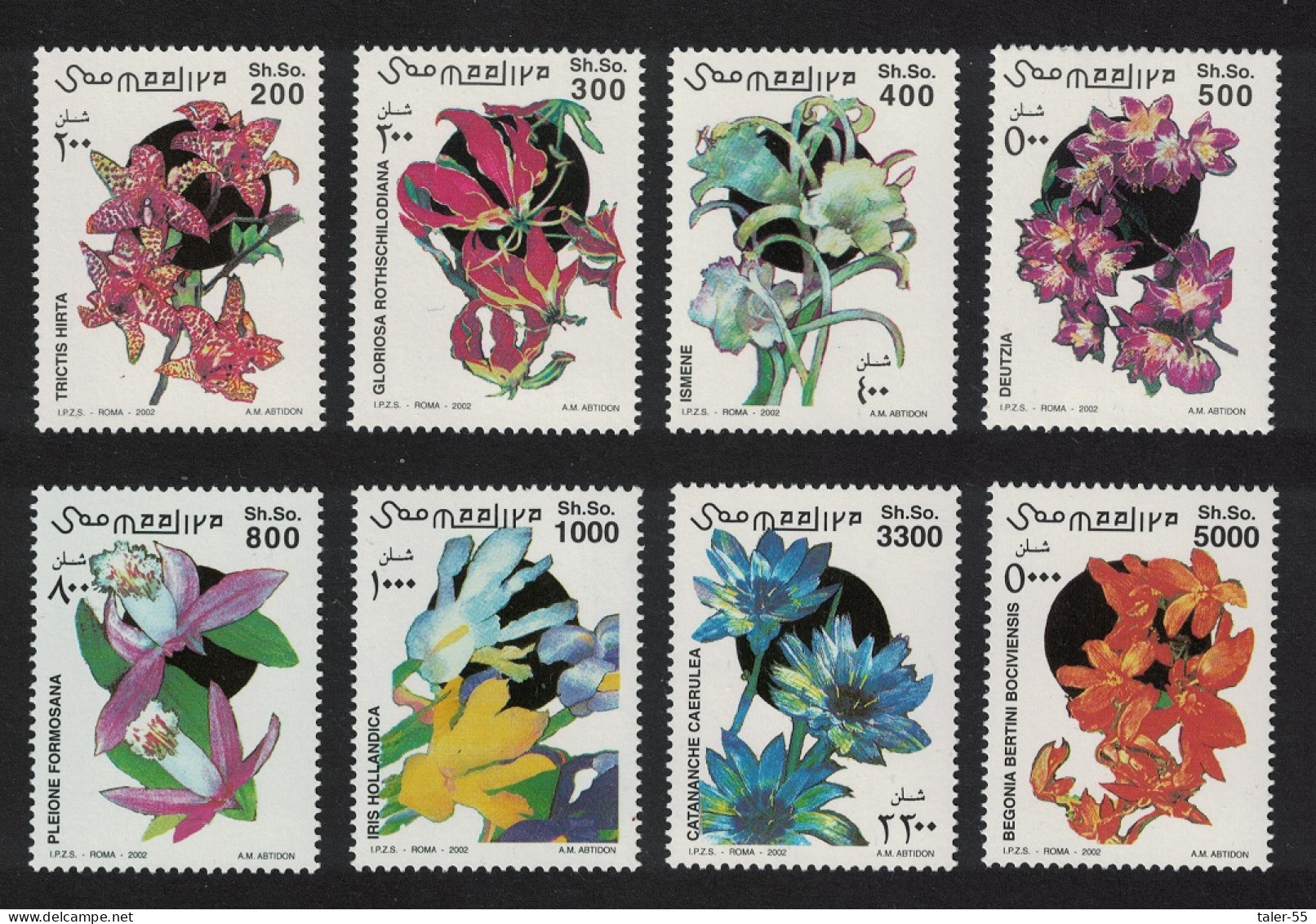 Somalia Flowers 8v 2002 MNH MI#983-990 - Somalia (1960-...)