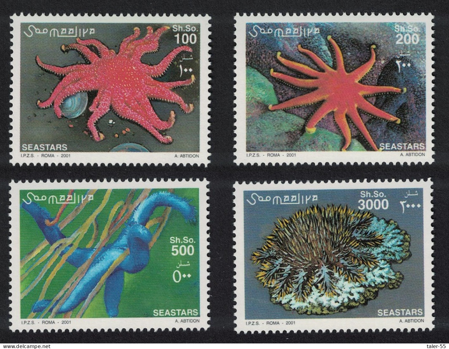 Somalia Starfish 2001 MNH MI#896-899 - Somalie (1960-...)