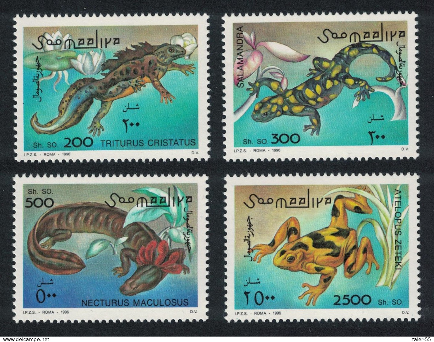 Somalia Amphibians 4v 1996 MNH MI#580-583 - Somalia (1960-...)